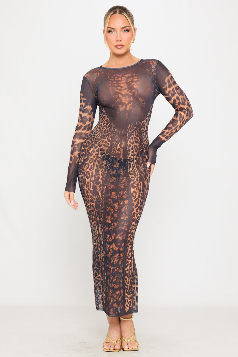 Leopard Print Sheer Long Sleeve Maxi Dress