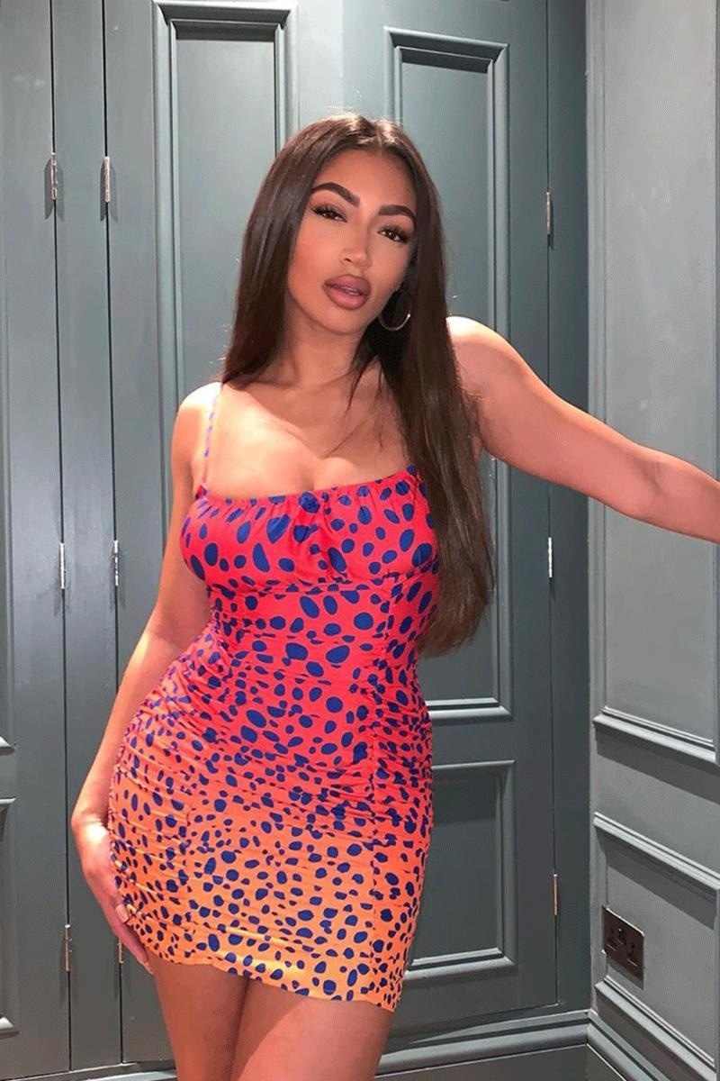 Fuchsia Leopard Print Ruched Mini Dress