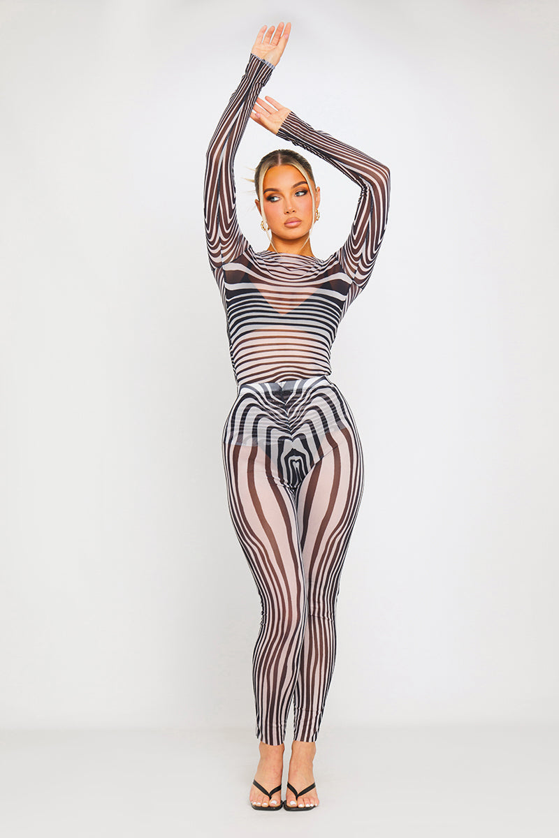Zebra Print Sheer Mesh Long Sleeve Top & Leggings Co-Ord